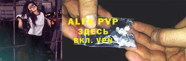 ECSTASY Медвежьегорск