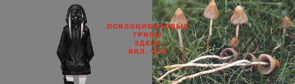 мефедрон Медногорск