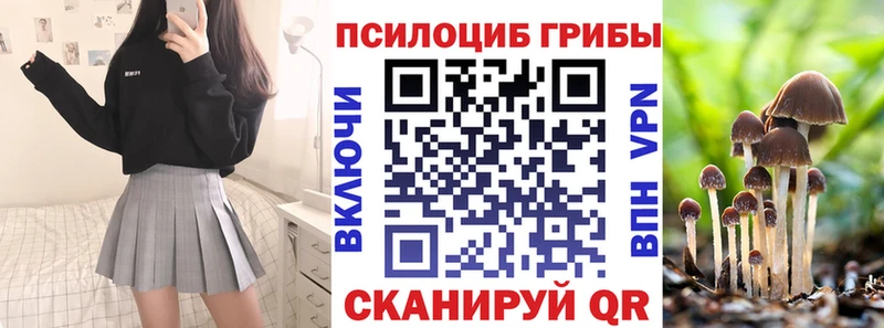 Галлюциногенные грибы Psilocybe  Новотитаровская 
